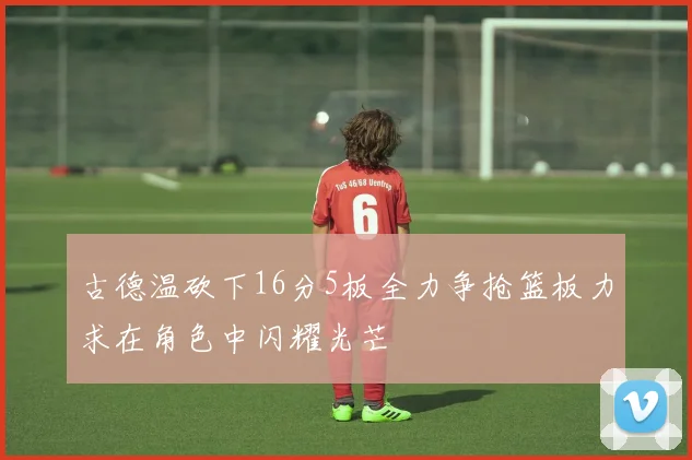 古德温砍下16分5板全力争抢篮板力求在角色中闪耀光芒