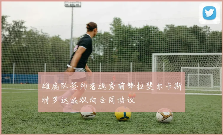 雄鹿队签约落选秀前锋拉斐尔卡斯特罗达成双向合同协议