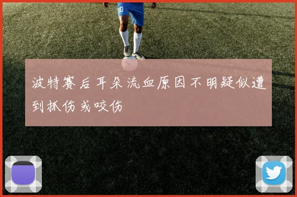 波特赛后耳朵流血原因不明疑似遭到抓伤或咬伤