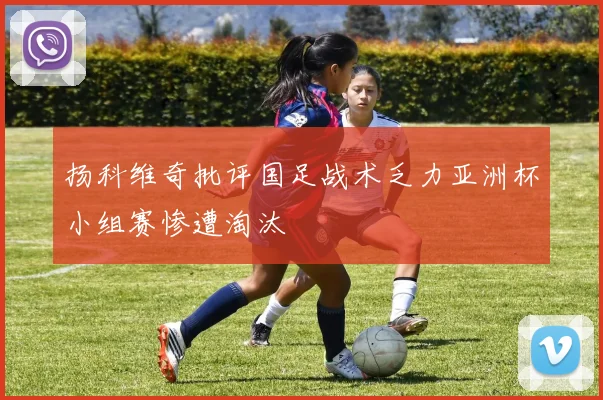 扬科维奇批评国足战术乏力亚洲杯小组赛惨遭淘汰