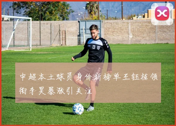 中超本土球员身价新榜单王钰栋领衔李昊暴涨引关注
